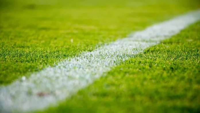 Close-up de um campo gramado verde com uma linha de giz branco correndo diagonalmente pela imagem. A grama está bem aparada e a linha branca aparece recém-pintada, indicando um campo esportivo.